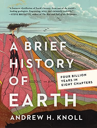 Earth System History: Steven M. Stanley: 9781319154028: Amazon.com